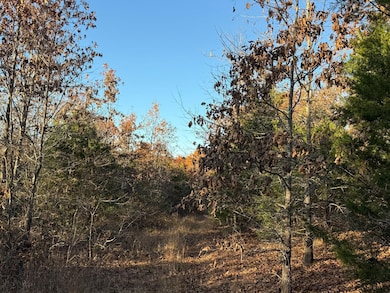 0 County Road 871, Thornfield Township, MO 65762 - photo 5