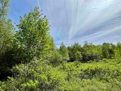 00 Station Rd, Sutton, VT 05867 - photo 6