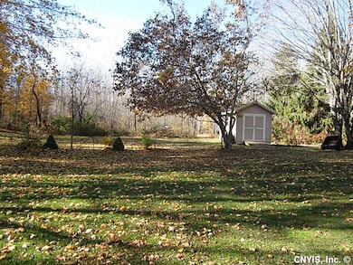 Shed