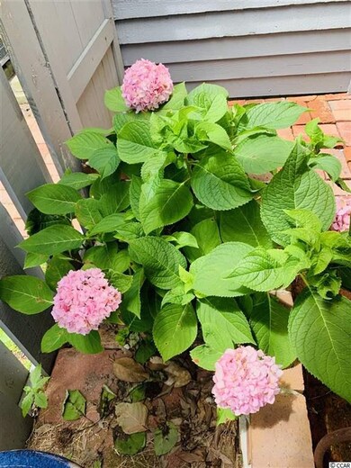 830 44th Ave N unit Carolina Ridge, Myrtle Beach, SC 29577 - photo 3