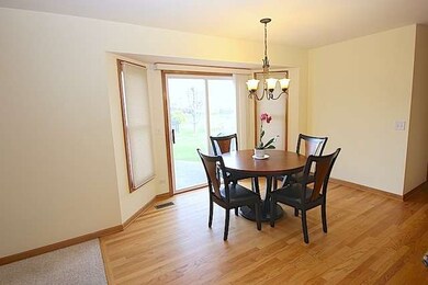 4816 Chokeberry Dr, Naperville, IL 60564 - photo 6