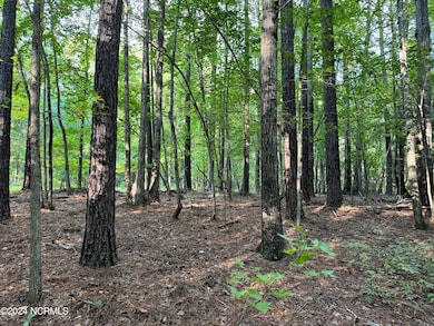 0242AD3A-D22D-4CC5-824D-4A9F80E1CD1C