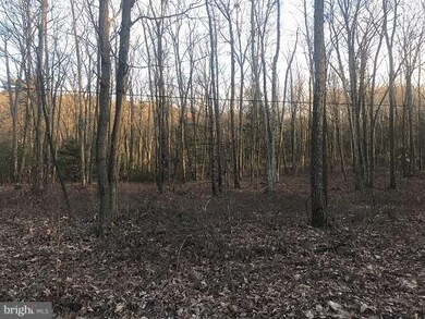 0 Thorny Grove Rd, Southampton Township, PA 17257 - photo 3