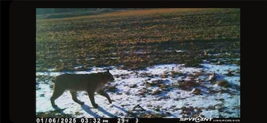 E21504 Karow Rd, Augusta, WI 54722 - photo 2