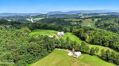 Photo Jul 20 2025, 1 09 46 PM (5)