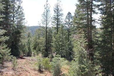 150 N Apache Trail-Scp-1a-165, Duck Creek Village, UT 84762 - photo 4