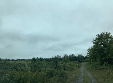 3 Abel Cyr Rd, Hamlin, ME 04785 - photo 6