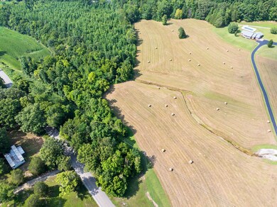 0 Highway 100 unit RTC2946938, Decaturville, TN 38329 - photo 5