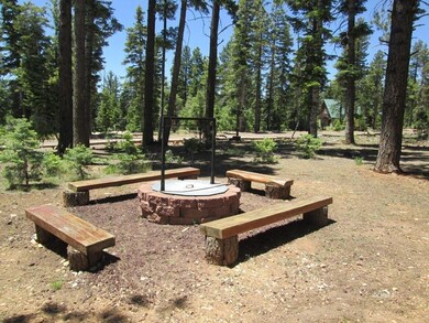 Outside Fire Pit