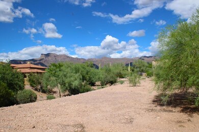 Ponderosa 75