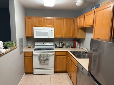 The Sterling unit 509, Chicago, IL 60654 - photo 2
