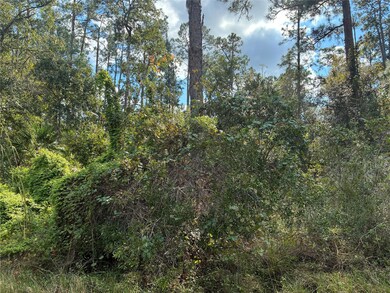 Lot 15, Block 75 Park Ave, Lake Wales, FL 33855 - photo 4
