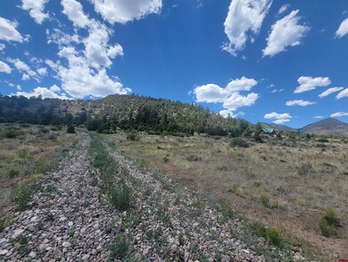 1287 Bear Creek Cir, South Fork, CO 81154 - photo 5