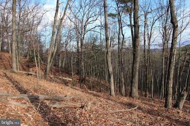 0 Supinlick Ridge Rd unit VASH2013102, Mount Jackson, VA 22842 - photo 7