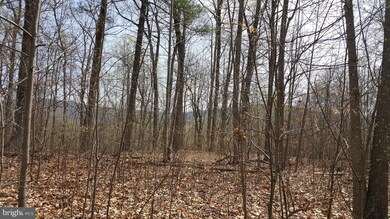 0 Rainbow Way unit 1001928590, Front Royal, VA 22630 - photo 3