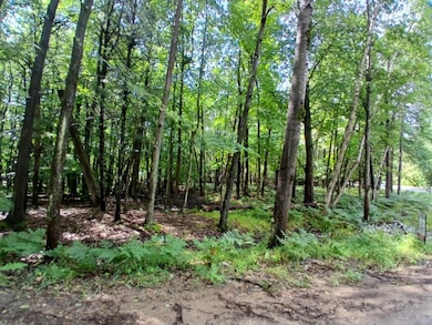 4756 N Ridge Rd, Mears, MI 49436 - photo 4