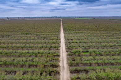 0 Deer Creek Ave, Earlimart, CA 93219 - photo 5