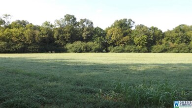 If you enter the first field and drive to the righ