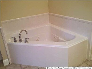 Master Bathroom jetted tub.