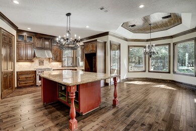 20560 Old Windmill Trail, Hockley, TX 77447 - photo 5