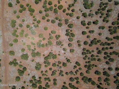 8519 Powell Ln, Show Low, AZ 85901 - photo 5