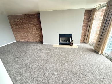 6010 Oakwood Dr unit 5D, Lisle, IL 60532 - photo 6