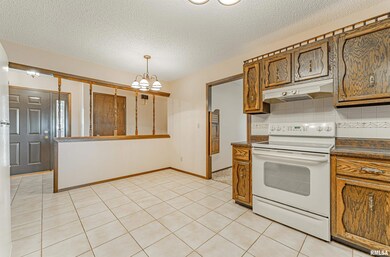 265 Crestwood Dr, Lincoln, IL 62656 - photo 6