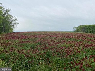 0 Llama Ln, Licking Creek Township, PA 17238 - photo 2