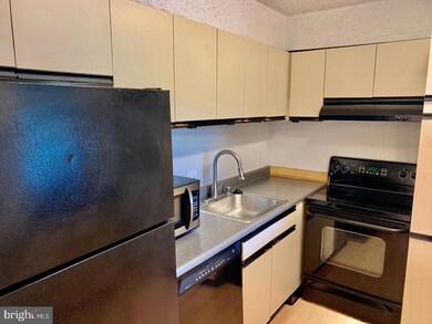 Lakeside Plaza Condominium unit 1118, Baileys Crossroads, VA 22041 - photo 5