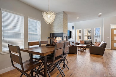 393 Osiander St, Fort Collins, CO 80524 - photo 6