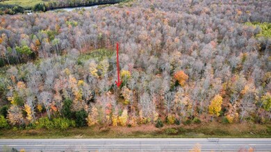 ON Cth A unit Lot 2, Deerbrook, WI 54424 - photo 3