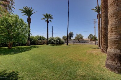 Royal Palm (7)