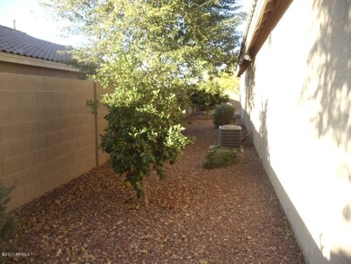 backyard with trees