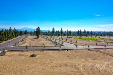 DJI_0218