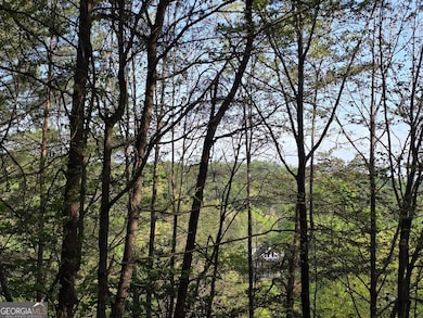 Long Range view from lot