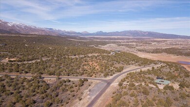 08-DJI_0961