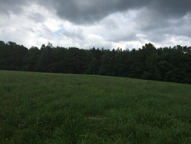 0 Town Hill Rd unit 4510674, Whitingham, VT 05361 - photo 4