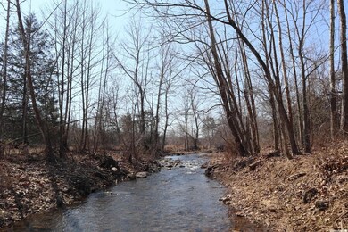 TBD Byron Rd, Salem, AR 72576 - photo 3