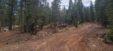 1660 E Beech Craft Dr, Duck Creek Village, UT 84762 - photo 5