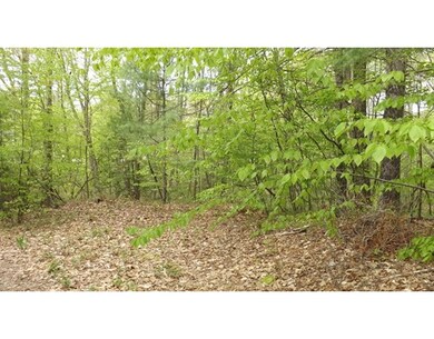 25 Peter Salem Rd, Leicester, MA 01524 - photo 2