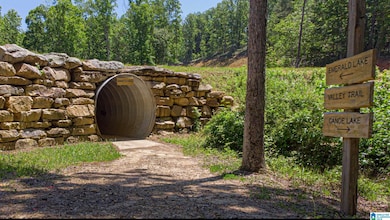 3080 Oakridge Way unit 57, Chelsea, AL 35043 - photo 2