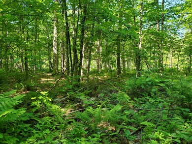 20200615_092638