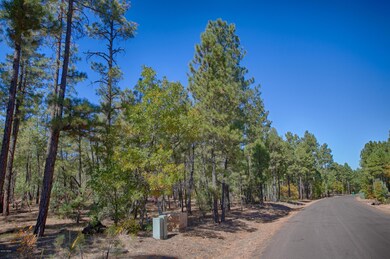 1840 S Bristlecone Dr, Show Low, AZ 85901 - photo 5