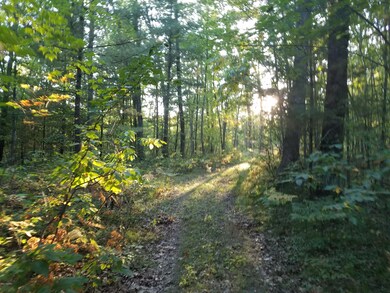 0 N V L Evergreen Dr unit 17049135, White Cloud, MI 49349 - photo 2