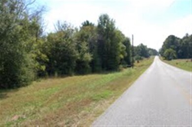 0 Apalachee River Rd unit 35642, Madison, GA 30650 - photo 3