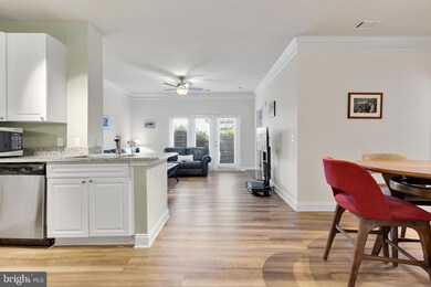 The Fitz at Rockville Town Center, Rockville, MD 20850 - photo 3