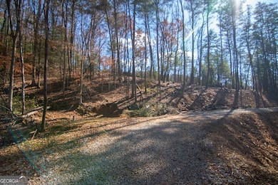 LOT 2A Clay's Way, Blue Ridge, GA 30513 - photo 4