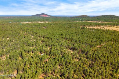 915BirdsongWay-Lakeside-AZ-5