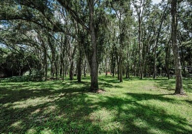 4635 Cobb Rd, Land O' Lakes, FL 34638 - photo 5