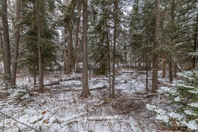 257 Pine Valley Loop